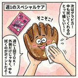 NEW【絶対に挫折しない】10週間で習慣になる！ はじめての　野球グローブ（グラブ）お手入れ 2点セット　超簡単　1分でできる　やばタン馬毛ブラシ　グラピカ