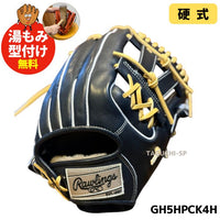 NEW【湯もみ型付け加工無料】【2025年モデル】Rawlings　ローリングス HOH(R) PREMIUM　ハートオブザハイド プレミアム　硬式グラブ　硬式グローブ　内野手用　Vブラック　GH5HPCK4H